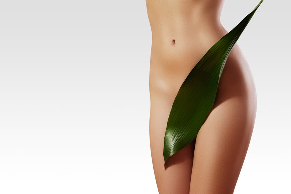 Close-up of a woman’s smooth bikini area covered modestly with a large green leaf, representing results from a Brazilian intimate wax.